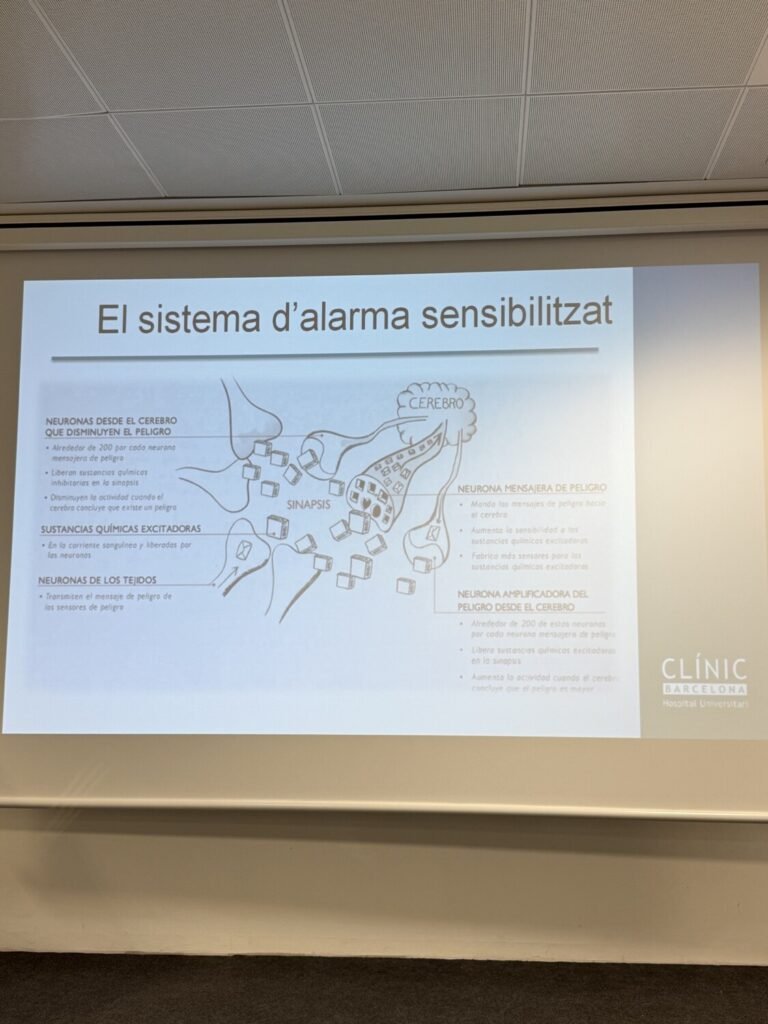 andrea garcia beltran ciberseguridad 11